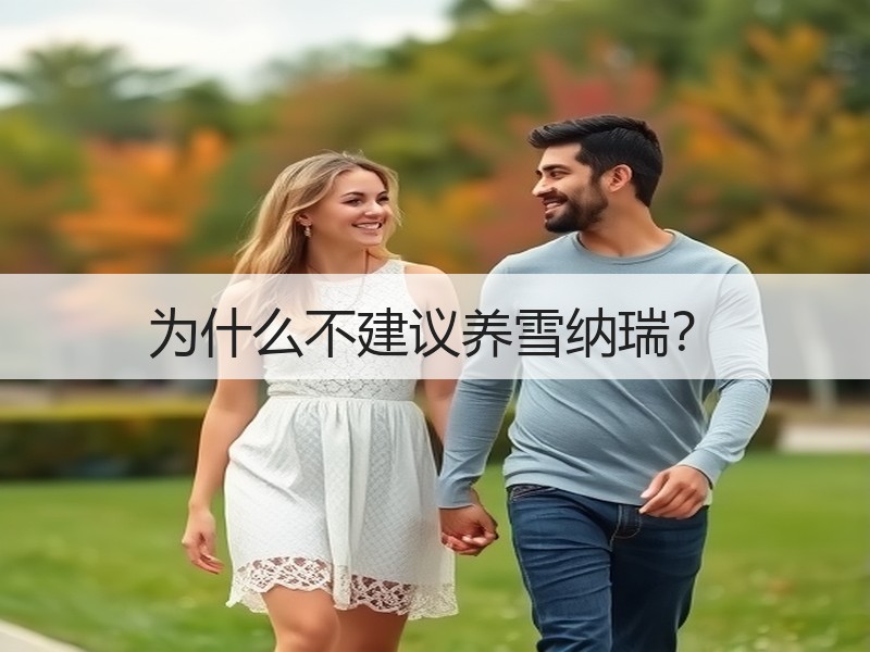 为什么不建议养雪纳瑞？