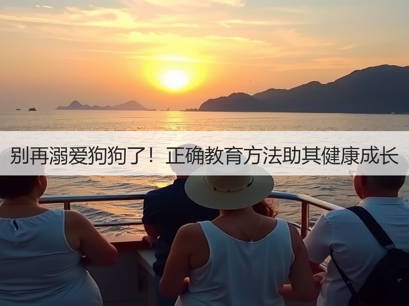 别再溺爱狗狗了！正确教育方法助其健康成长