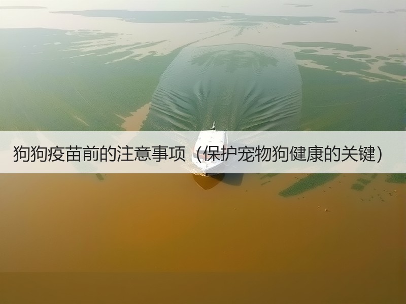 狗狗疫苗前的注意事项（保护宠物狗健康的关键）