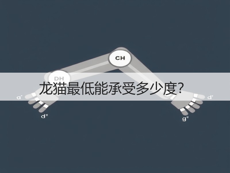 龙猫最低能承受多少度？
