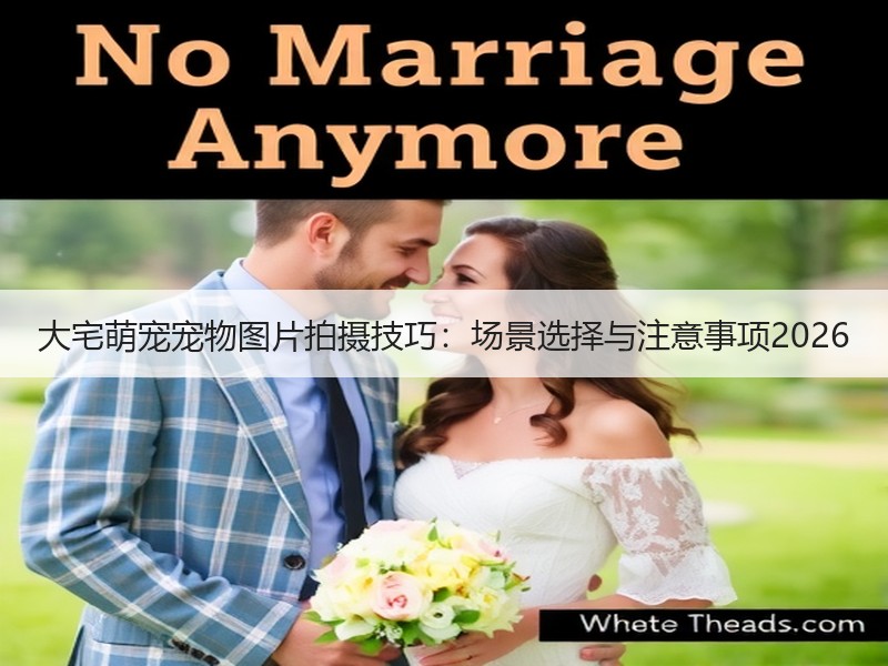 大宅萌宠宠物图片拍摄技巧：场景选择与注意事项2026