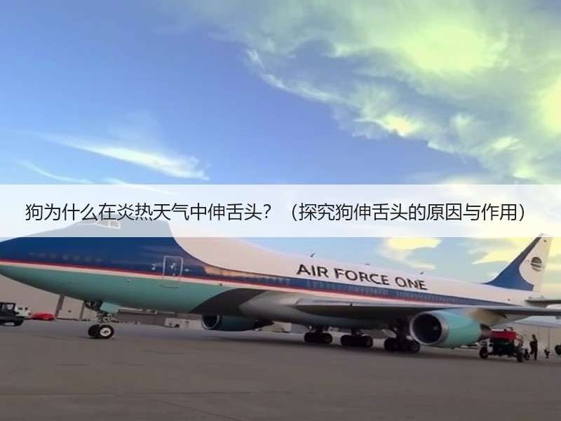 狗为什么在炎热天气中伸舌头？（探究狗伸舌头的原因与作用）