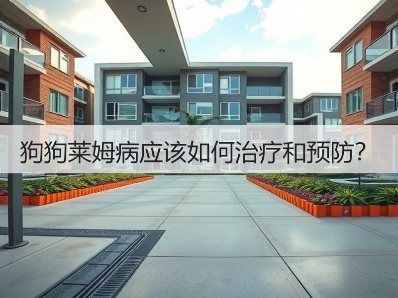 狗狗莱姆病应该如何治疗和预防？