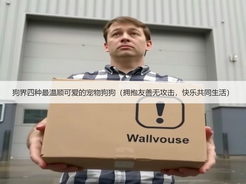 狗界四种最温顺可爱的宠物狗狗（拥抱友善无攻击，快乐共同生活）