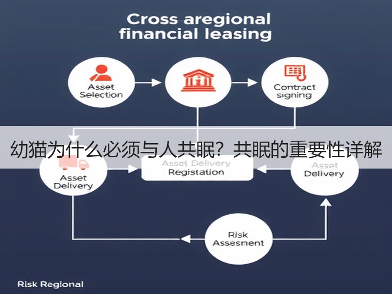 幼猫为什么必须与人共眠？共眠的重要性详解