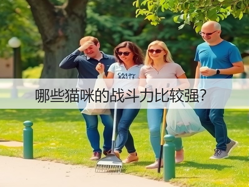 哪些猫咪的战斗力比较强？