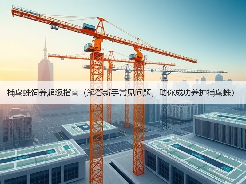 捕鸟蛛饲养超级指南（解答新手常见问题，助你成功养护捕鸟蛛）