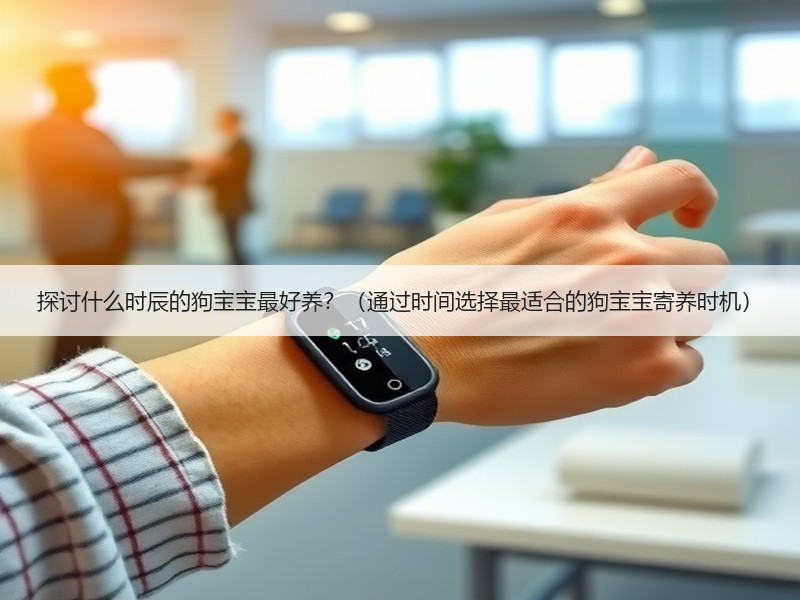 探讨什么时辰的狗宝宝最好养？（通过时间选择最适合的狗宝宝寄养时机）