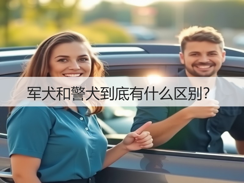 军犬和警犬到底有什么区别？