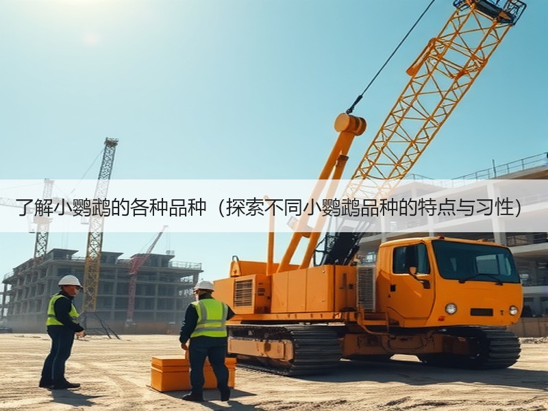 了解小鹦鹉的各种品种（探索不同小鹦鹉品种的特点与习性）
