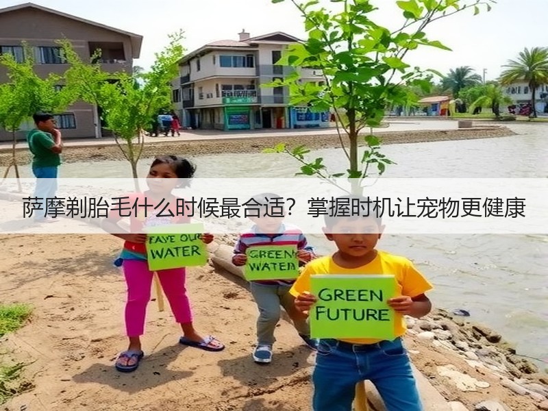 萨摩剃胎毛什么时候最合适？掌握时机让宠物更健康