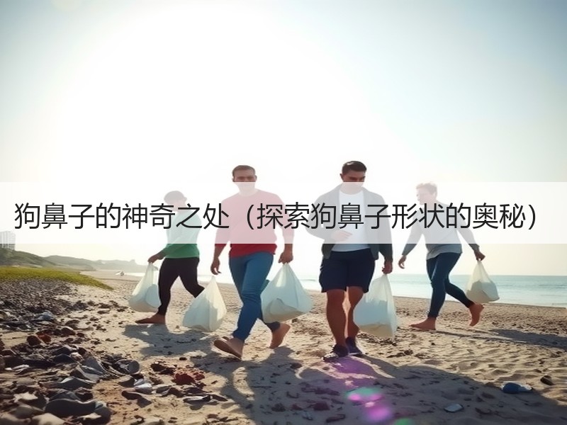 狗鼻子的神奇之处（探索狗鼻子形状的奥秘）