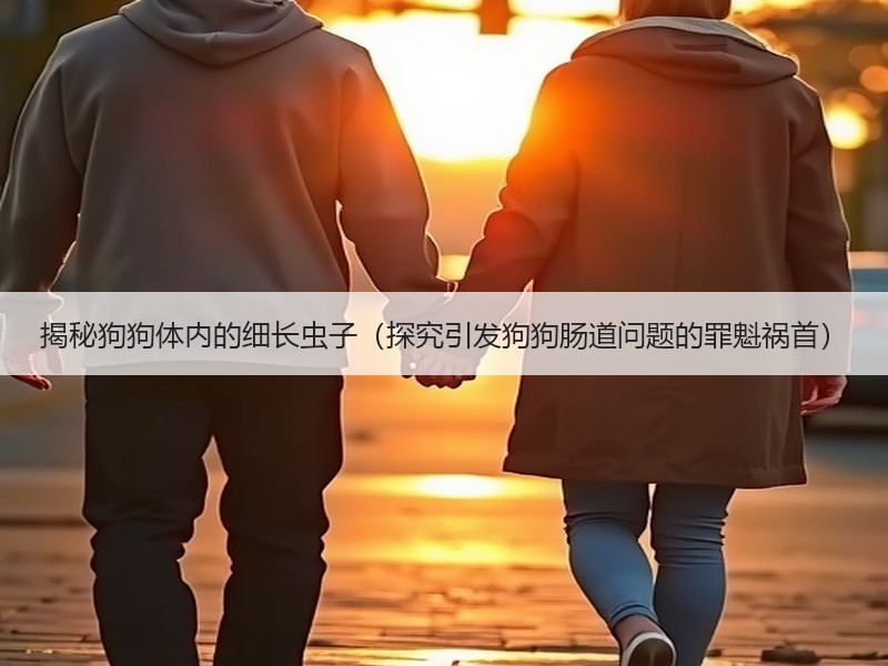 揭秘狗狗体内的细长虫子（探究引发狗狗肠道问题的罪魁祸首）