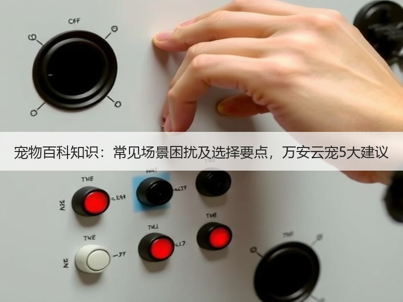 宠物百科知识：常见场景困扰及选择要点，万安云宠5大建议