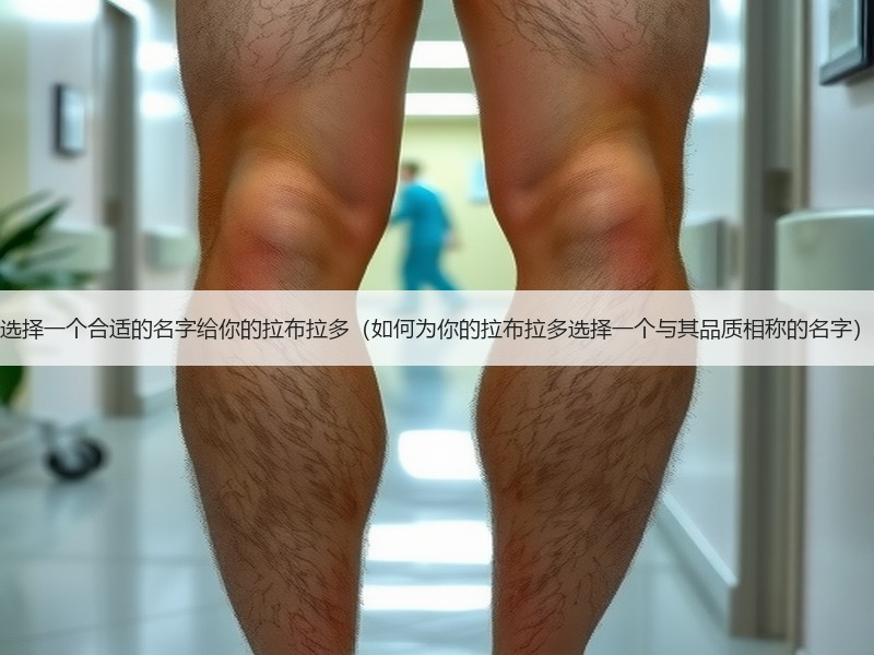 选择一个合适的名字给你的拉布拉多（如何为你的拉布拉多选择一个与其品质相称的名字）