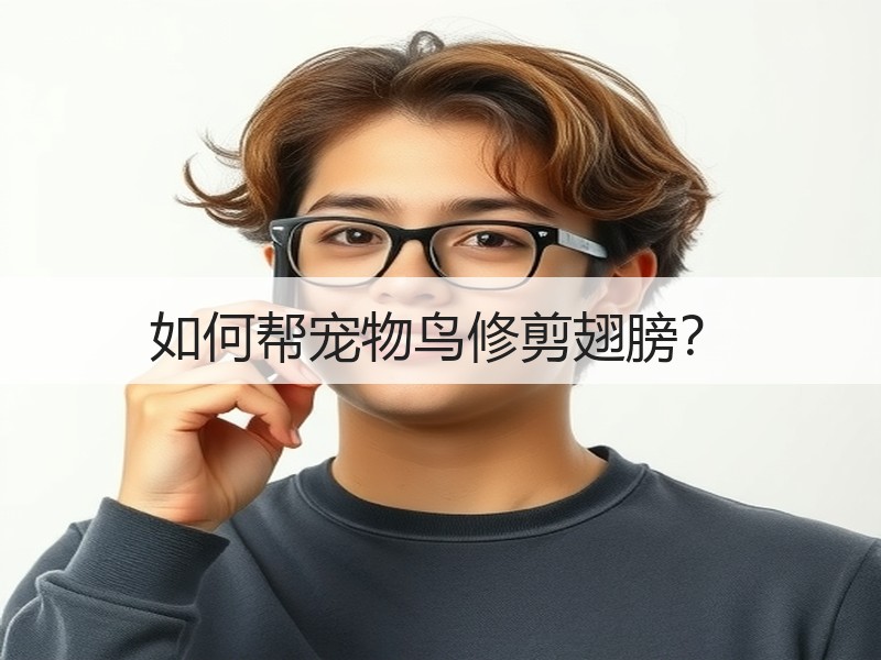 如何帮宠物鸟修剪翅膀？