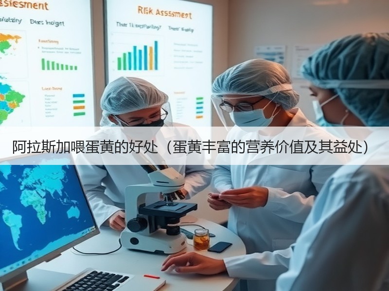 阿拉斯加喂蛋黄的好处（蛋黄丰富的营养价值及其益处）