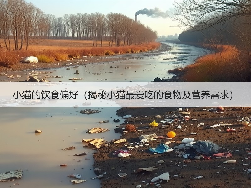 小猫的饮食偏好（揭秘小猫最爱吃的食物及营养需求）