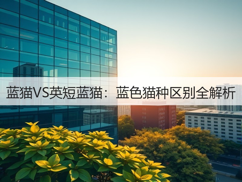 蓝猫VS英短蓝猫：蓝色猫种区别全解析