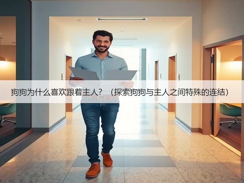 狗狗为什么喜欢跟着主人？（探索狗狗与主人之间特殊的连结）