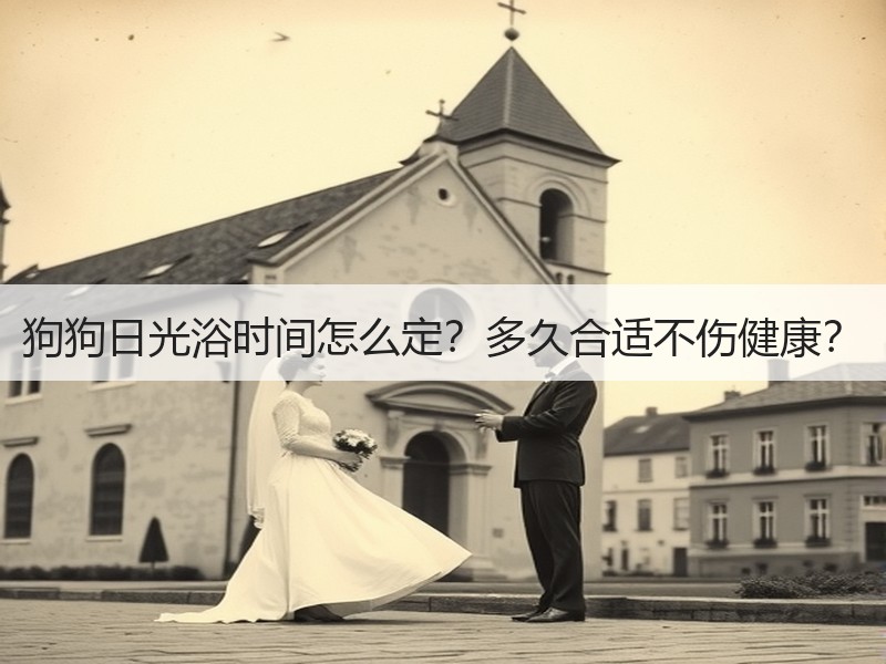 狗狗日光浴时间怎么定？多久合适不伤健康？