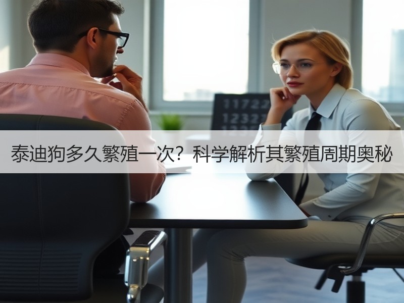 泰迪狗多久繁殖一次？科学解析其繁殖周期奥秘