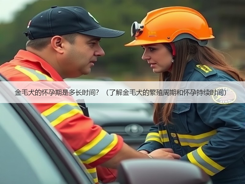 金毛犬的怀孕期是多长时间？（了解金毛犬的繁殖周期和怀孕持续时间）