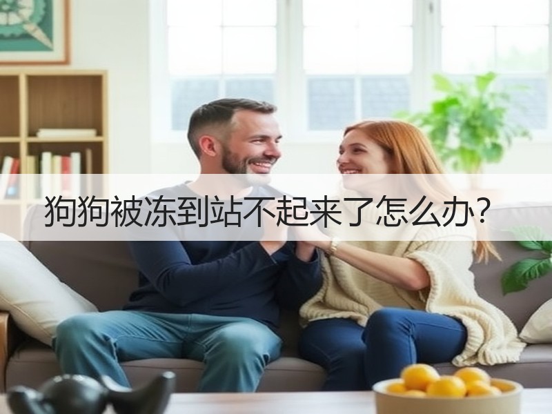 狗狗被冻到站不起来了怎么办？