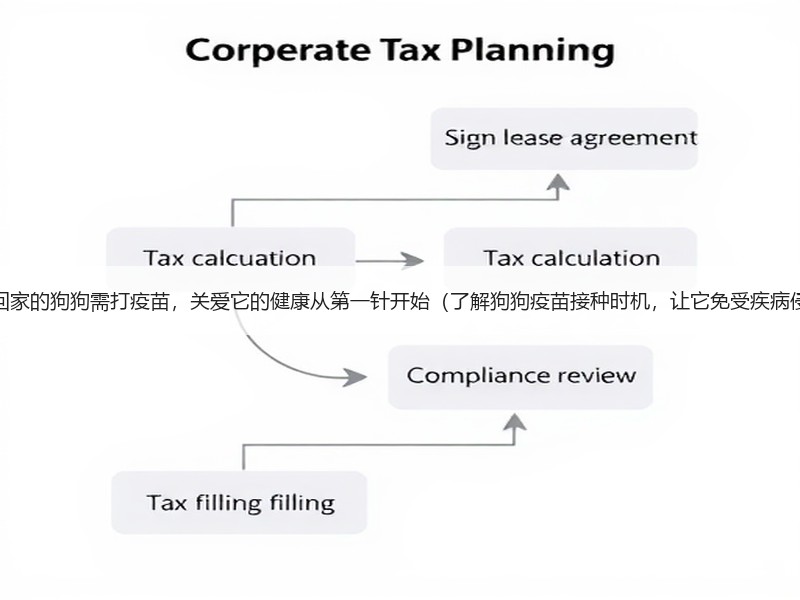 新买回家的狗狗需打疫苗，关爱它的健康从第一针开始（了解狗狗疫苗接种时机，让它免受疾病侵害）