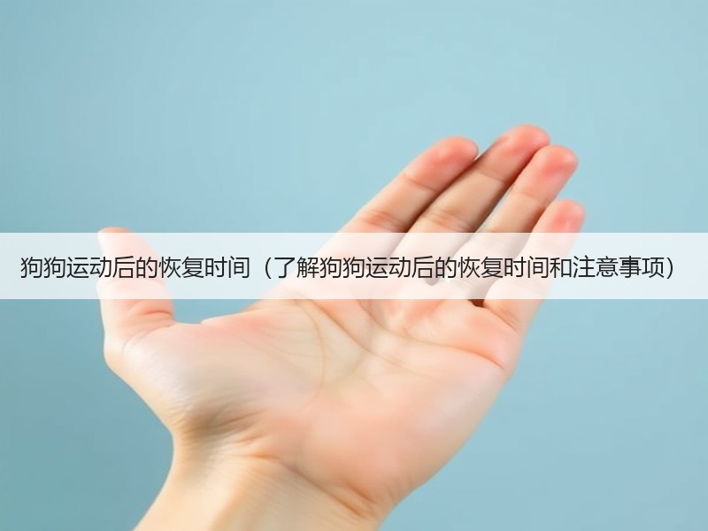 狗狗运动后的恢复时间（了解狗狗运动后的恢复时间和注意事项）