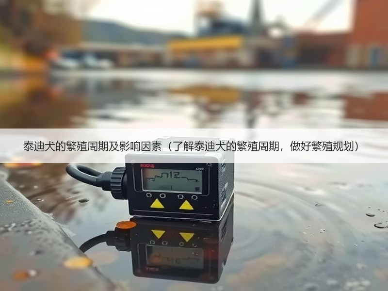 泰迪犬的繁殖周期及影响因素（了解泰迪犬的繁殖周期，做好繁殖规划）