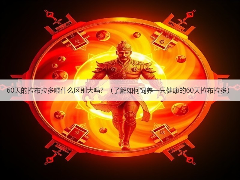 60天的拉布拉多喂什么区别大吗？（了解如何饲养一只健康的60天拉布拉多）