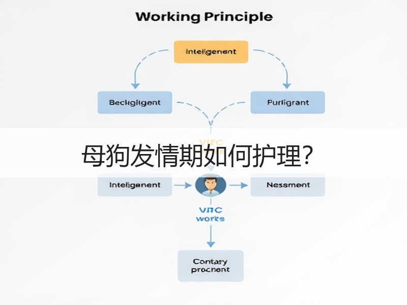 母狗发情期如何护理？