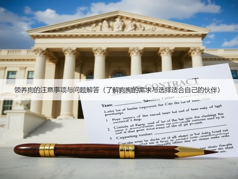领养狗的注意事项与问题解答（了解狗狗的需求与选择适合自己的伙伴）