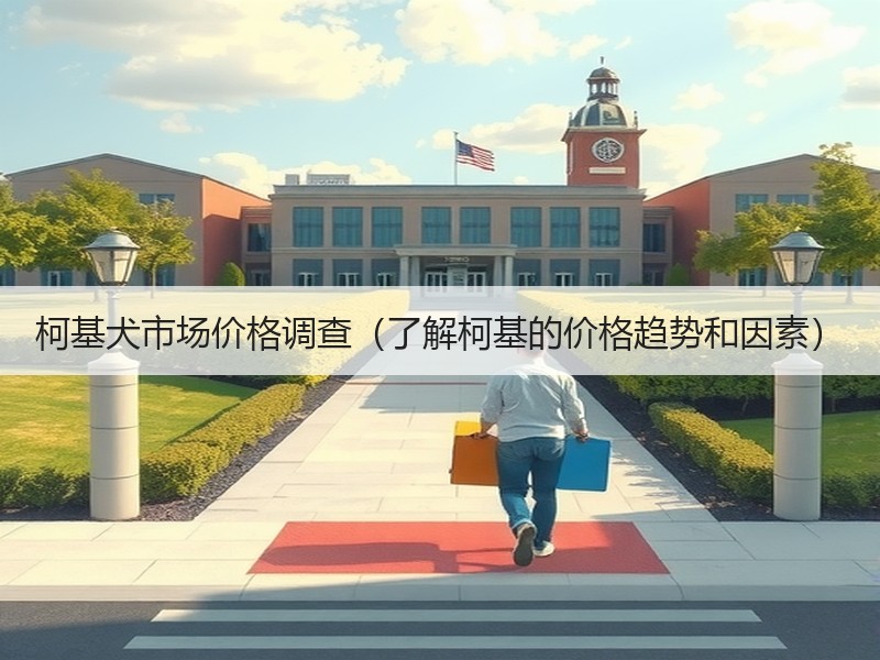 柯基犬市场价格调查（了解柯基的价格趋势和因素）