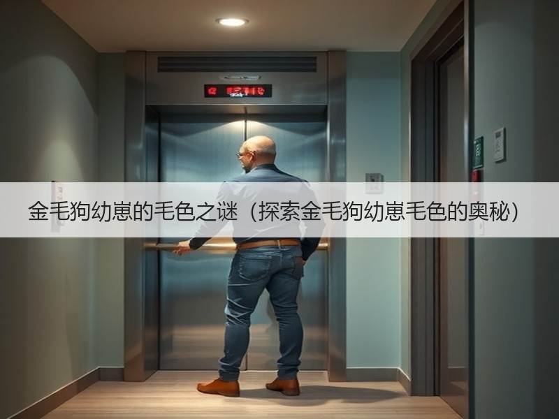 金毛狗幼崽的毛色之谜（探索金毛狗幼崽毛色的奥秘）