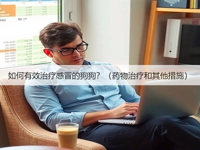 如何有效治疗感冒的狗狗？（药物治疗和其他措施）