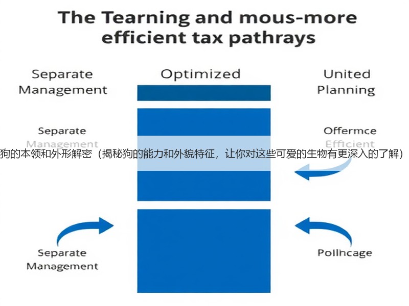 狗的本领和外形解密（揭秘狗的能力和外貌特征，让你对这些可爱的生物有更深入的了解）