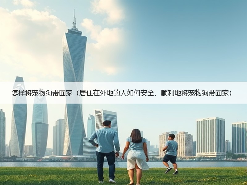 怎样将宠物狗带回家（居住在外地的人如何安全、顺利地将宠物狗带回家）