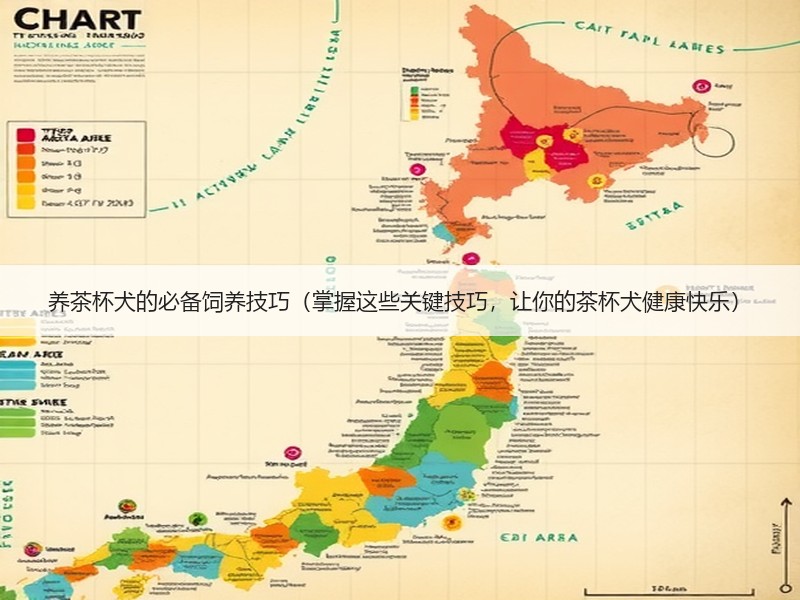 养茶杯犬的必备饲养技巧（掌握这些关键技巧，让你的茶杯犬健康快乐）