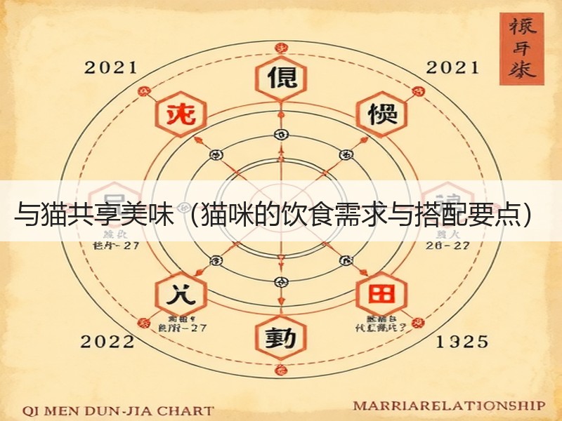 与猫共享美味（猫咪的饮食需求与搭配要点）