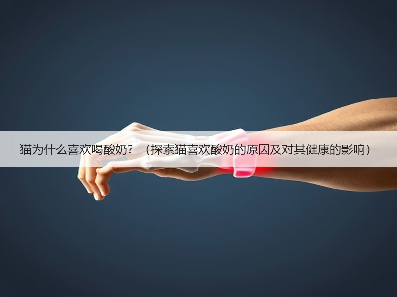 猫为什么喜欢喝酸奶？（探索猫喜欢酸奶的原因及对其健康的影响）