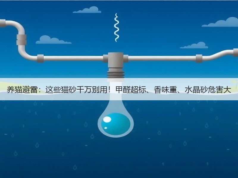 养猫避雷：这些猫砂千万别用！甲醛超标、香味重、水晶砂危害大