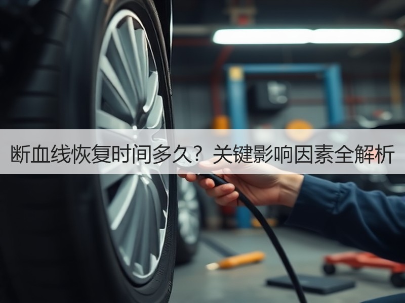 断血线恢复时间多久？关键影响因素全解析