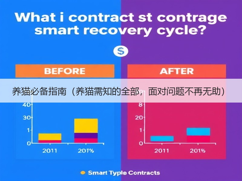 养猫必备指南（养猫需知的全部，面对问题不再无助）
