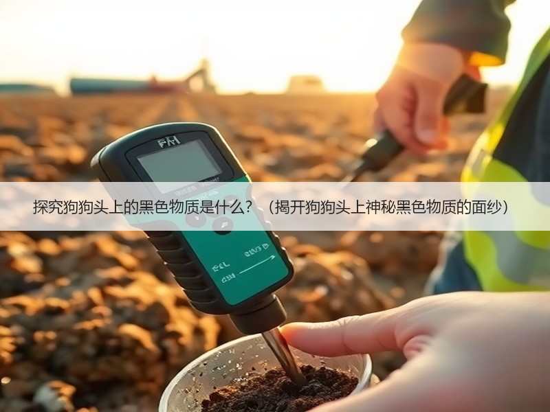 探究狗狗头上的黑色物质是什么？（揭开狗狗头上神秘黑色物质的面纱）