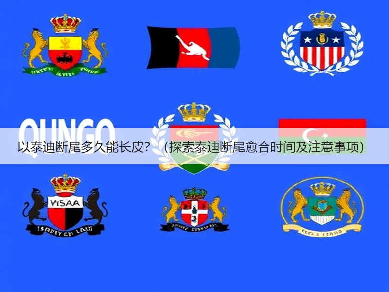 以泰迪断尾多久能长皮？（探索泰迪断尾愈合时间及注意事项）