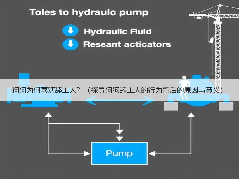 狗狗为何喜欢舔主人？（探寻狗狗舔主人的行为背后的原因与意义）