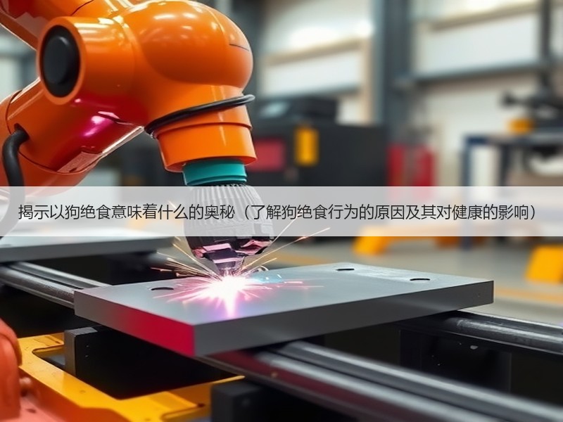揭示以狗绝食意味着什么的奥秘（了解狗绝食行为的原因及其对健康的影响）