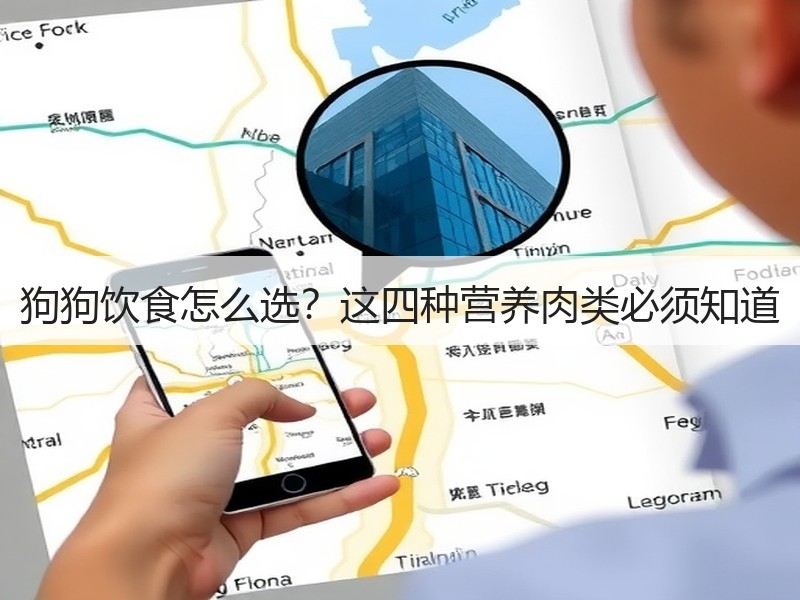 狗狗饮食怎么选？这四种营养肉类必须知道